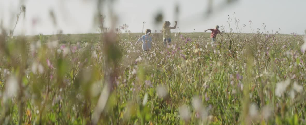 The children are running through the field of flowers