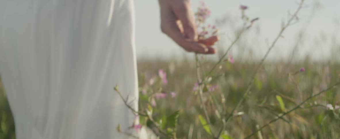 The wind blows the small flowers as a person walks by