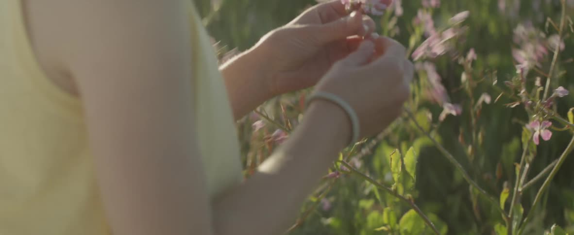 A girl is picking some flowers