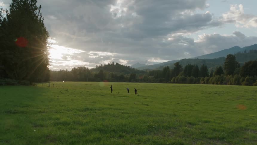 Three children play and run in a field on a sunny day