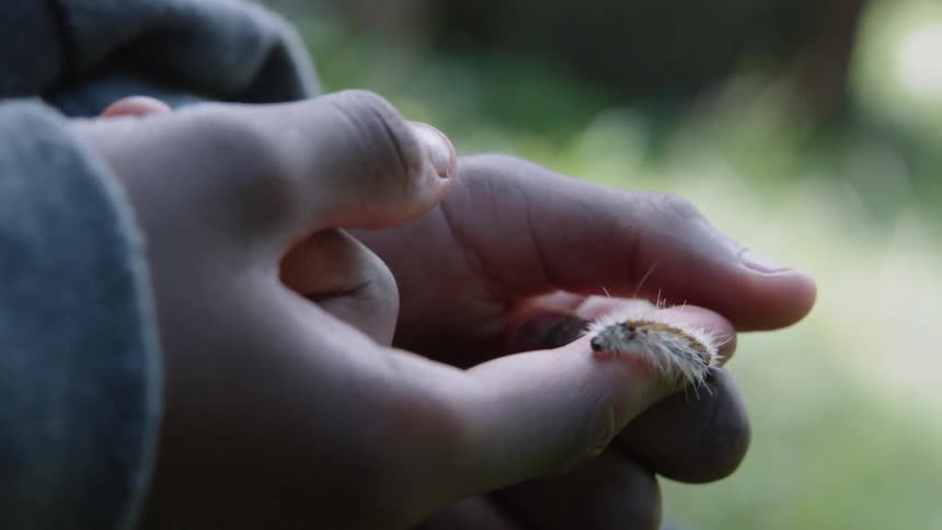 A caterpillar crawls on a person's finger