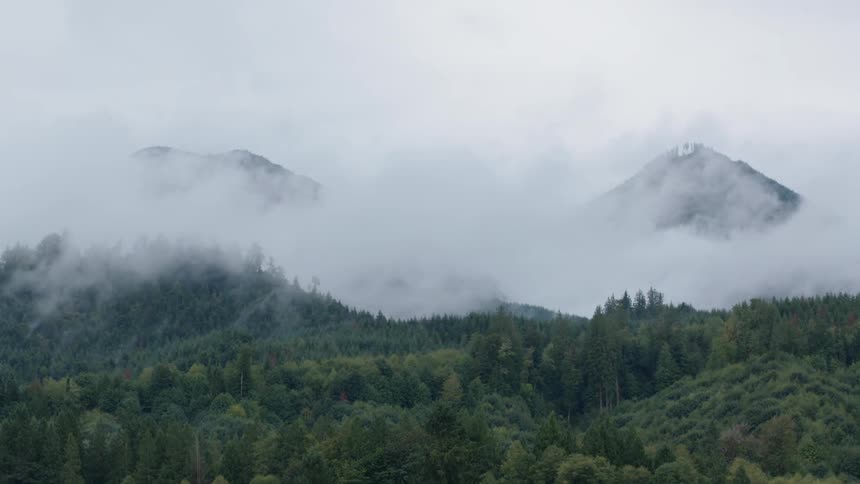 Fog rolls over the hills covered in trees