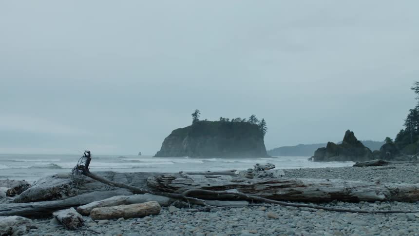 The shore is covered with branches and debris