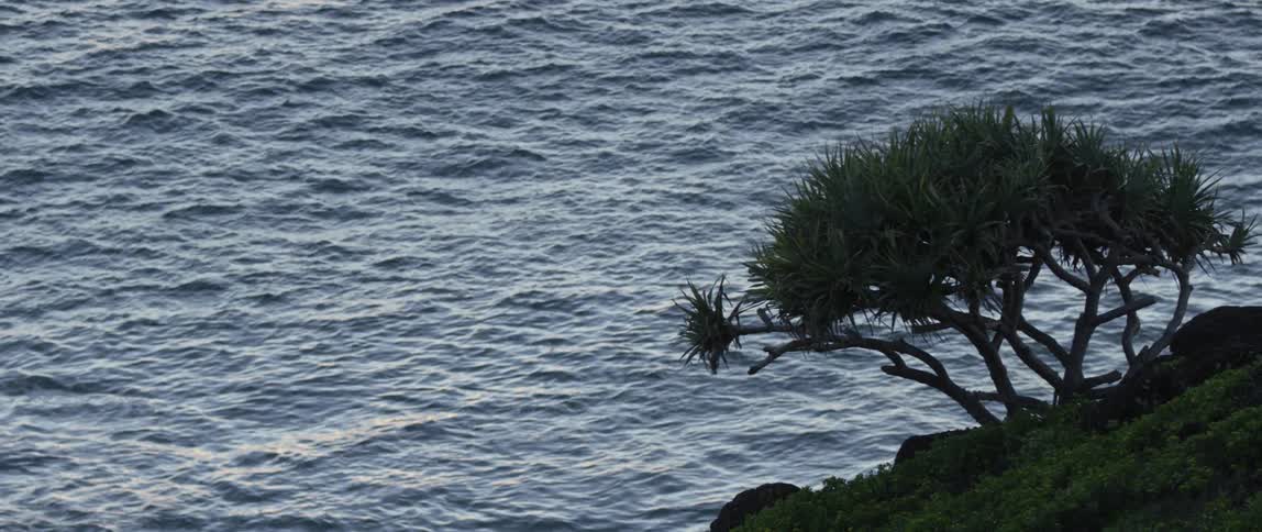 Waves are lopping in the sea