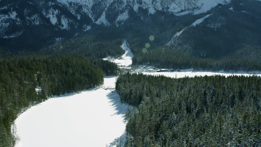 The forest leads to a snow covered mountain