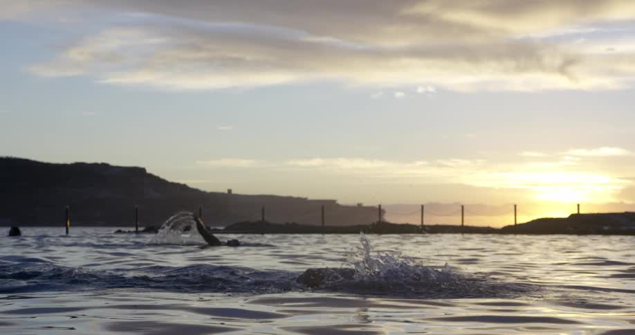 People swim in the ocean at sunset
