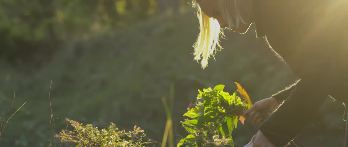 Woman gathering flowers for a bouquet