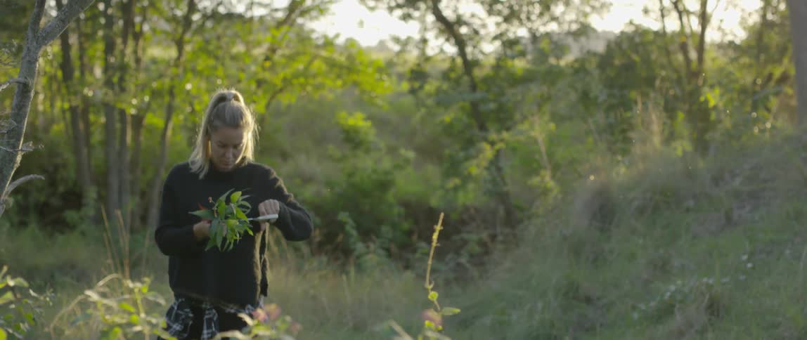 Woman trimming some plant with scissors