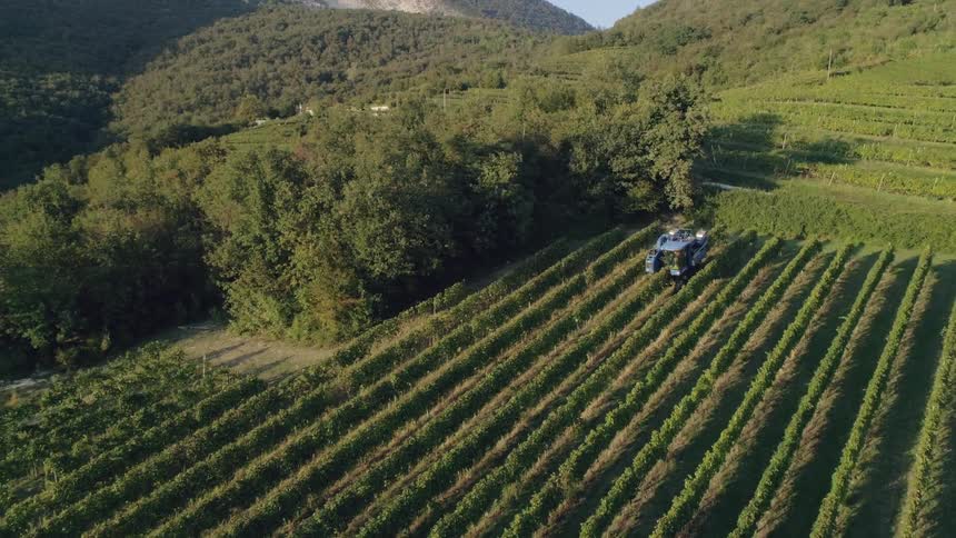 Machinery is operated on a vineyard