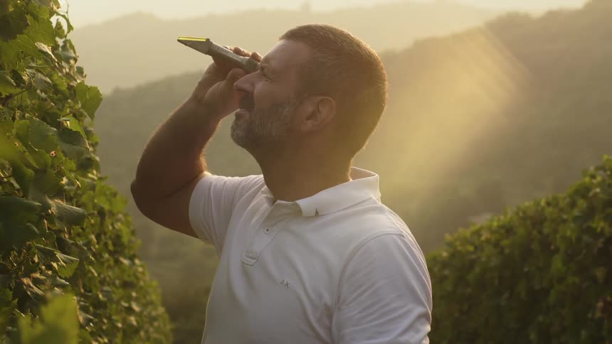 A man is using a device to measure the properties of his grape harvest outside in daylight