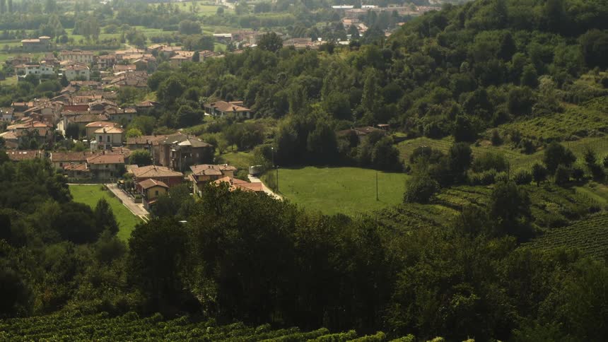 Houses surrounded by lush green grass and trees,