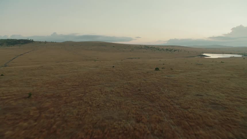 A dirt road crosses a rural field at sunset