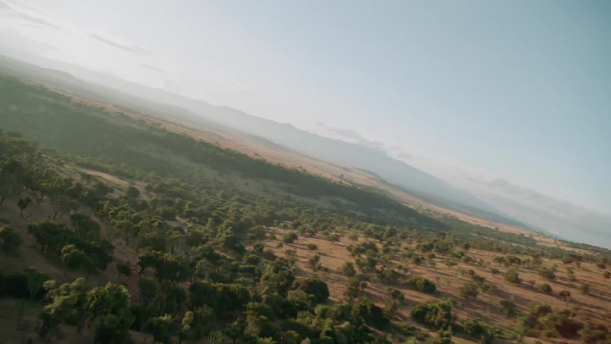 The long field is full of hills with bushes