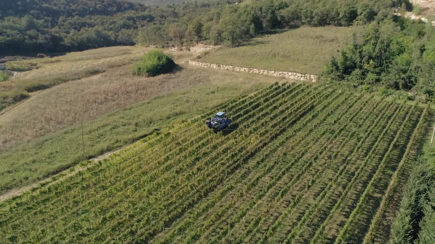 A tractor drives through rows of crops
