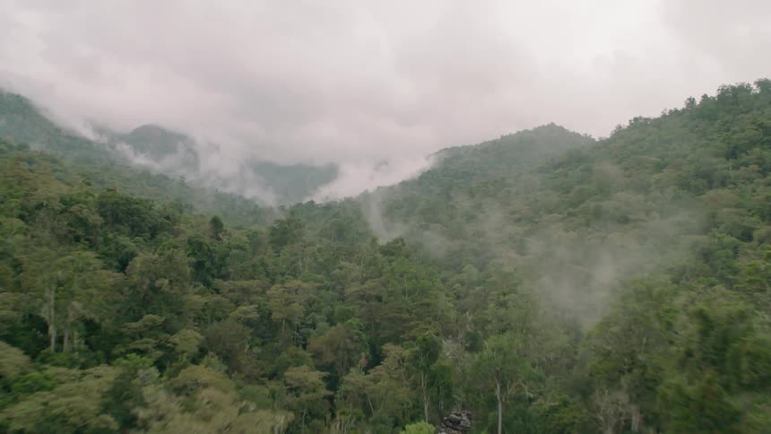 Clouds gather over tree covered mountains