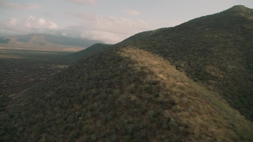 Trees and grass cover the side of the mountain