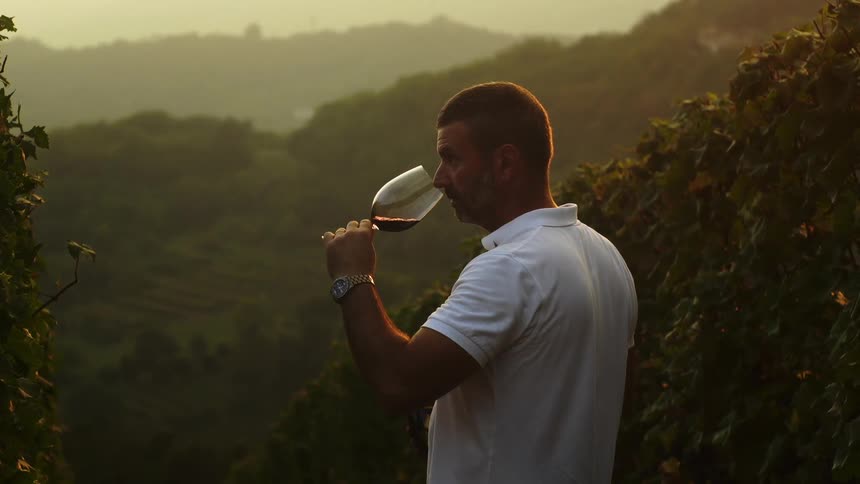 Man is sipping wine from glass in vineyard