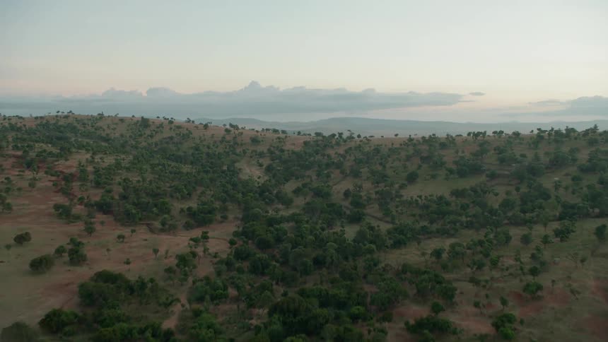 Passing over trees and brown landscape on hills