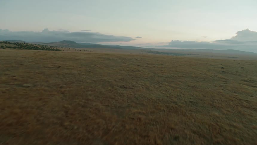 Grass covers a rural field at sunset
