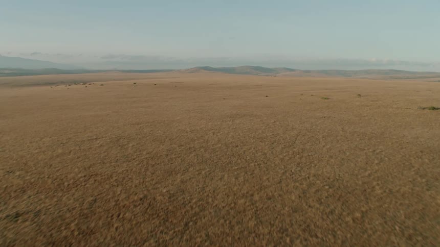 Flat plains with hills in the background