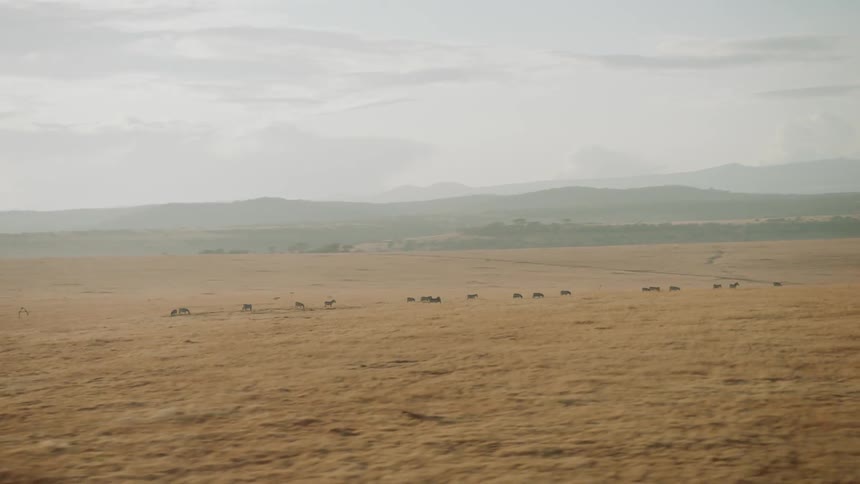 Flat plains with hills in the background