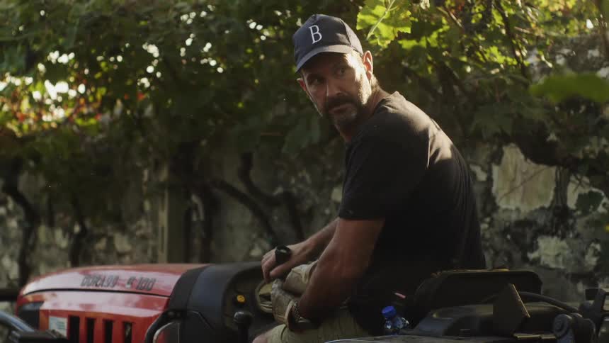 A man rides a tractor in a vineyard