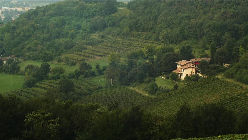 A house sits on a rural vineyard