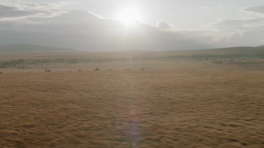 The long green field has many animals on it