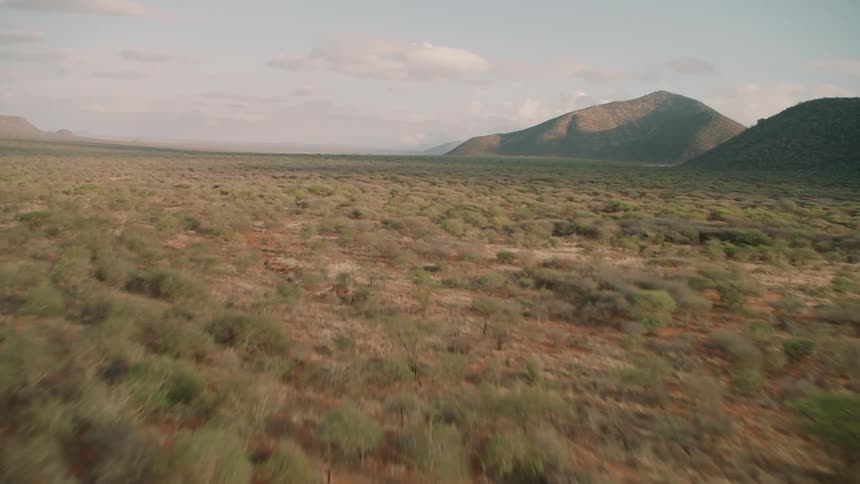 Shrubs and trees cover a rural landscape