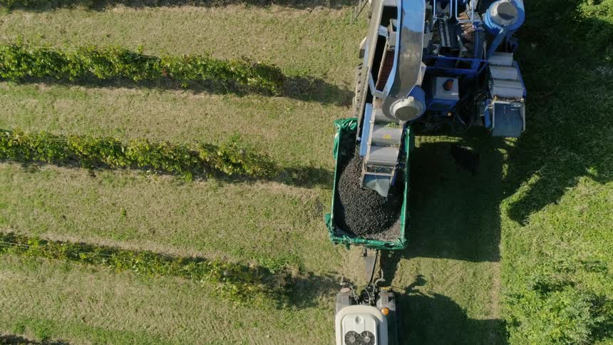 Farm equipment harvests produce