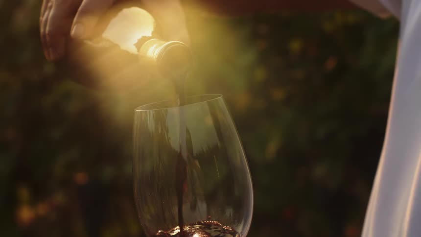 Man is pouring wine in glass in vineyard