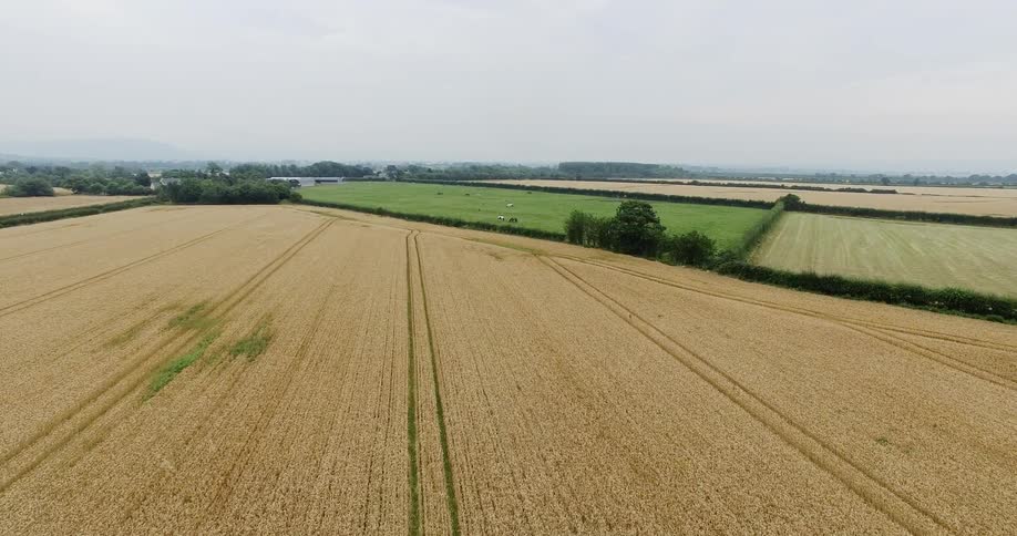 The farm fields run into the distance on a cloudy day