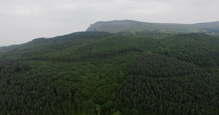 Lush green mountain forest on cloudy day