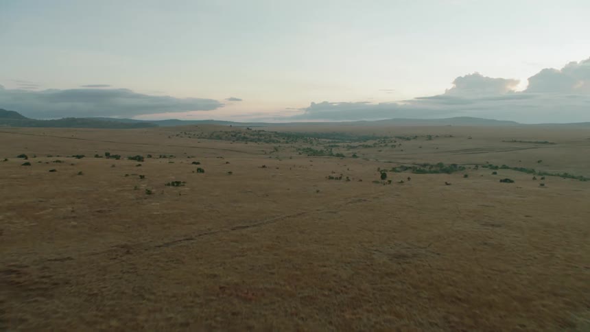 The sun is setting in the distance past these long green fields