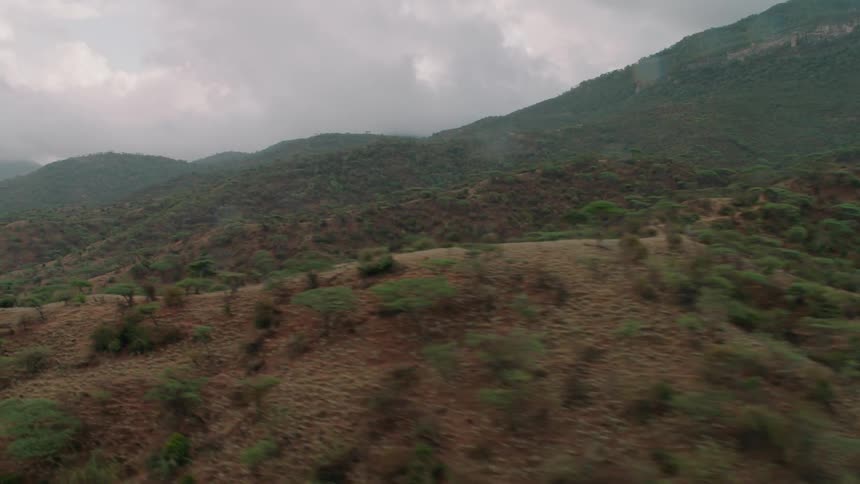 There are many hills and trees on this range