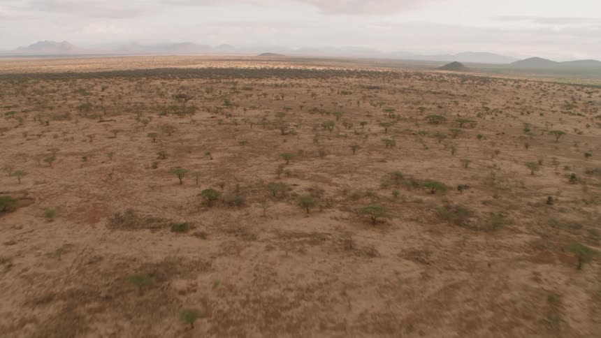 Dirt and shrubs cover a rural landscape