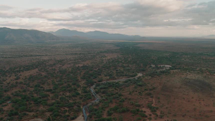 River flowing through the wilderness on a cloudy day