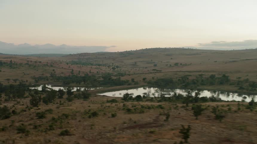 Trees grow near a rural lake