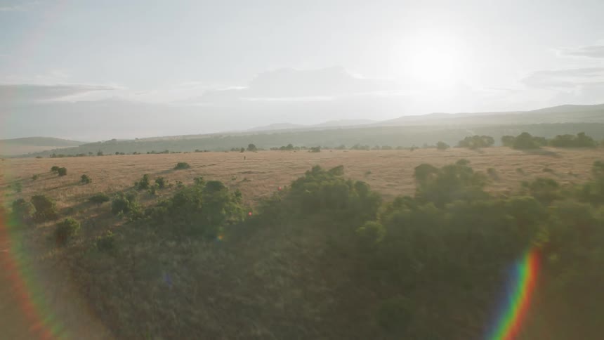 Trees and shrubs cover the landscape