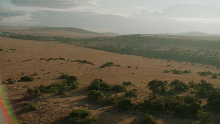 Trees and grass cover the open landscape