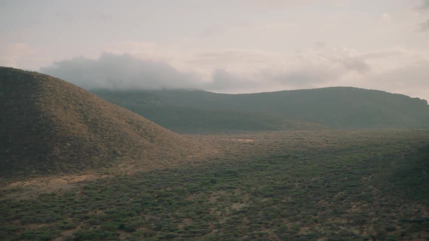 The green hills are covered with light fog