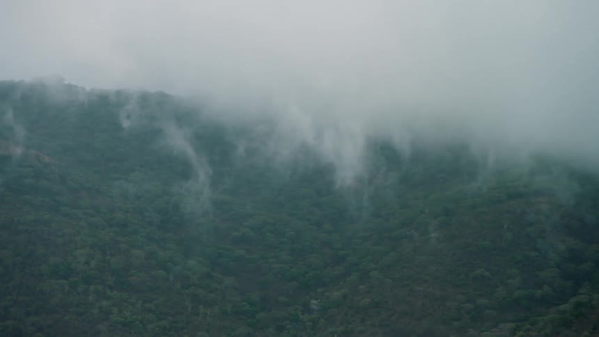 Light clouds floating over tree-covered hills with heavy clouds behind them