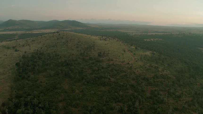 Trees cover a rural landscape at sunset