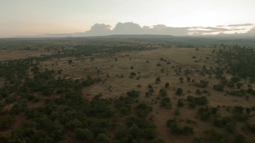Clouds are forming on the horizon of a natural landscape at dawn