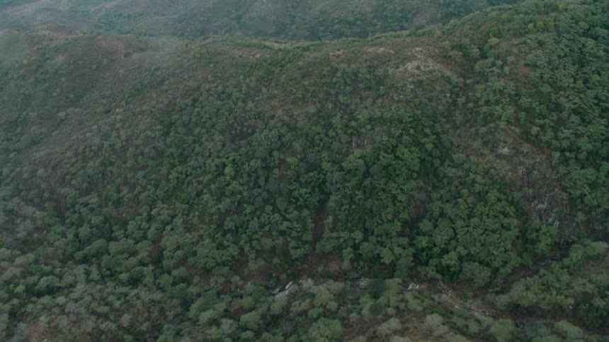 The hills below are green with bushes and trees