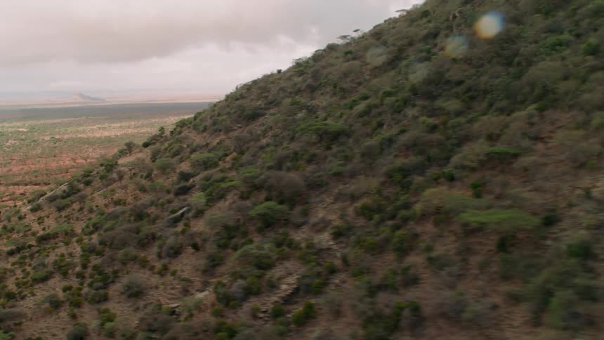 The field leads to a hill covered with green bushes and trees