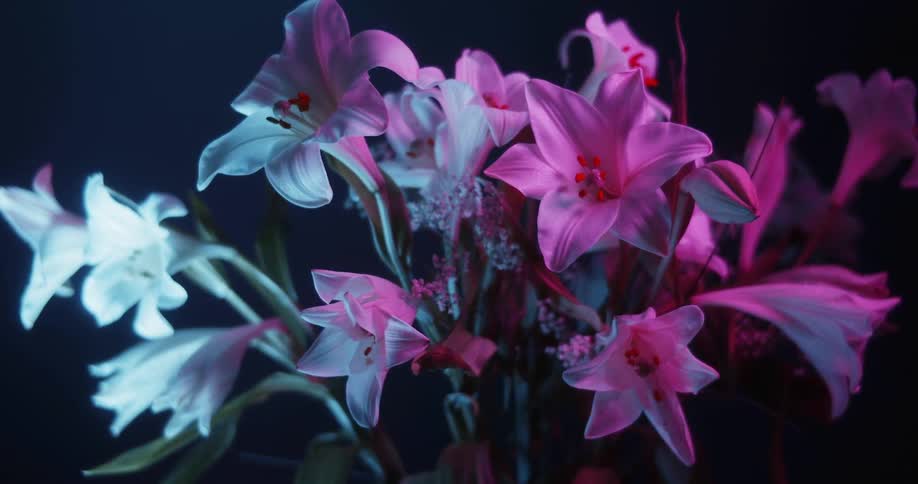 Flowers are arranged in a bouquet