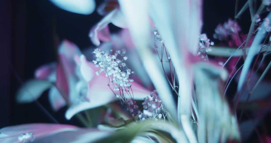 A vase of flowers are displayed in a dim room