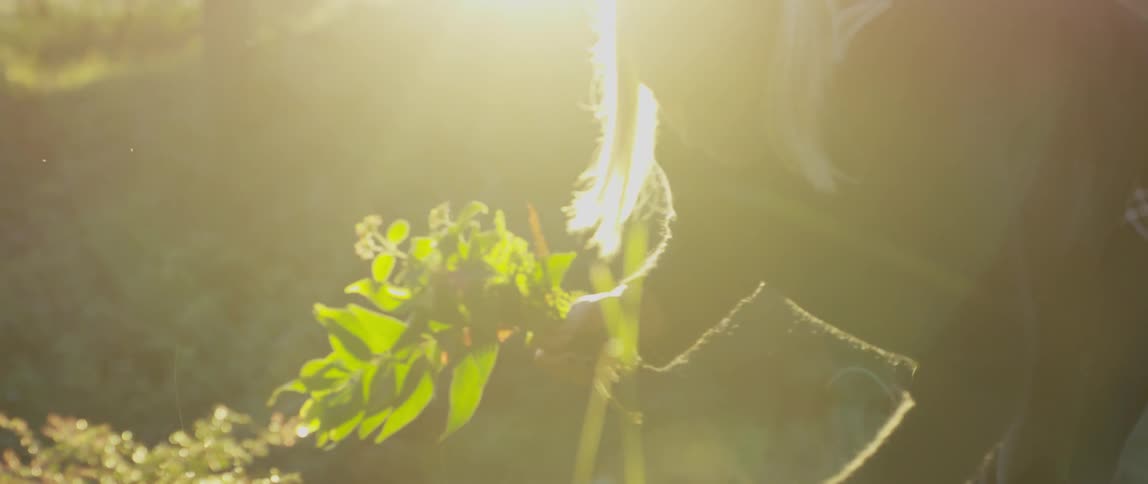 A white woman pulls crops out of a garden