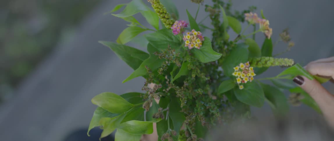 A flower is held by  a woman